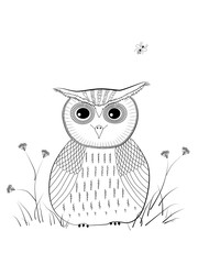 Funny bird owl with big eyes.