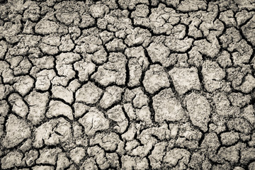 Cracked dry soil, Patagonia , Argentina