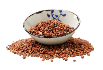 Job's tears coix lachryma jobi grain seeds on white background