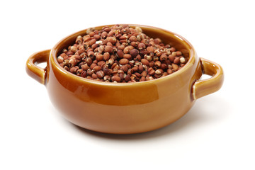 Job's tears coix lachryma jobi grain seeds on white background