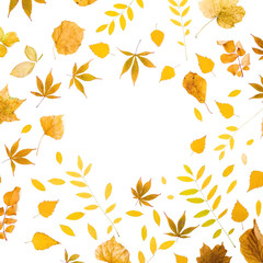 Fototapeta na wymiar Autumn pattern with fall leaves on white background. Flat lay, top view. Thanksgiving day concept.