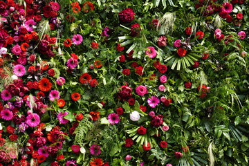 Vertical wall made of pink gerbera flowers and green leaves.