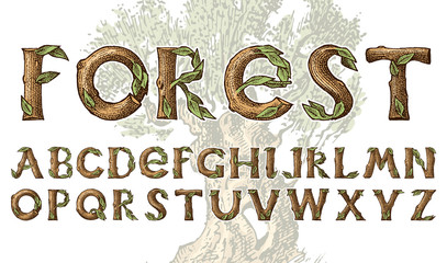 Antique wood Font for forest posters. Decorative ancient alphabet. Vintage typeface. Double exposure Trees and branches. Editable and layered. Hand drawn Vector modern letters for banners.