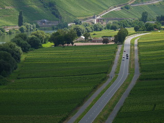Entlang der Mosel bei Trittenheim