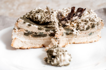 Fungus growth on orange cake. Gray background. Selective focus.