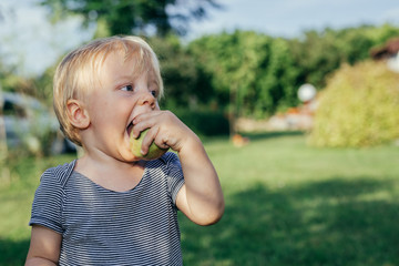 cute little boy eating apple outdoor