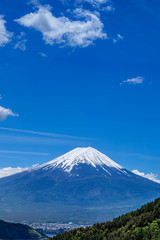 Fototapeta premium 富士山と雲と新緑の木立