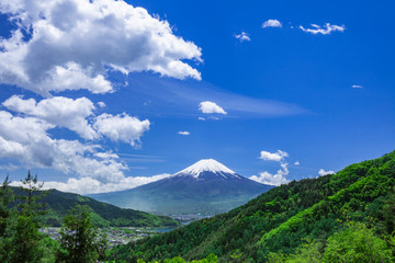 富士山と雲と新緑の木立