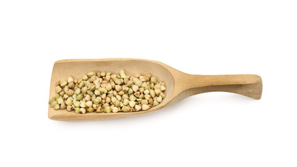 Some green buckwheat on a wooden spoon or scoop seen obliquely from above and isolated on white background