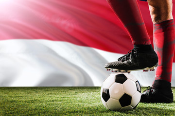 Close up legs of Monaco football team player in red socks, shoes on soccer ball at the free kick or...
