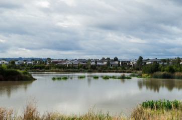 Fototapeta na wymiar Suburban wetlands in Berwick Springs on the outer south-eastern fringe of Melbourne