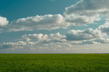 Fresh and beautiful Summer Landscape - cyan sky and green grass. Field, sky and puffy clouds. Samara, Russia