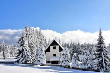 cottage near forest in winter