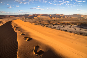 Fototapeta na wymiar Footprints on the dune