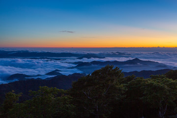 夜明けの大台ケ原山から朝日と雲海