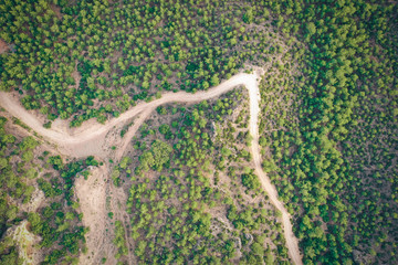 Top down view of road bending through trees at sunset
