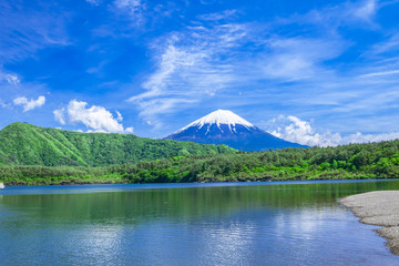富士山と新緑の西湖