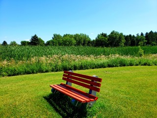 bench in the park