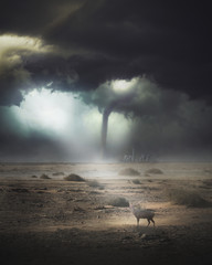 post apocalyptic landscape. deer on a deserted ground during a storm and a tornado about to hit a city in the background..post apocalypse and climate change concet.post apocalypse concet.