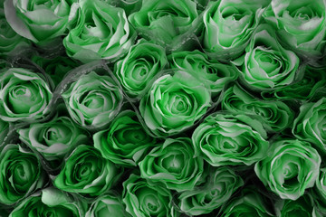 Beautiful palegreen rose flowers arranged in beautiful order