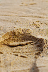 footprint in the sand