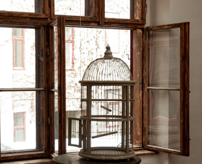 silhouette of an empty vintage bird cage standing in a window sill with wooden window frames