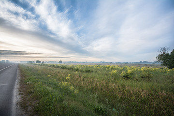 Fototapeta na wymiar Green field landscape road sky on light background.