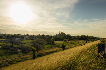Obraz premium The countryside has golden meadows in the evening and beautiful clouds in the sky