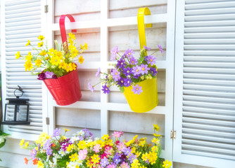 colorful windows with decorative flower pots