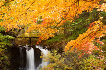Fototapeta na wymiar 紅葉の滝　鐘山の滝