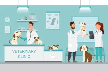 Poster Veterinarian and doctor with dog and cat on counter in vet clinic © idambeer