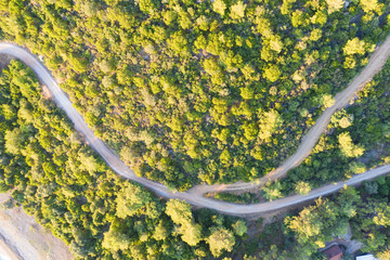 Top down view of road bending through trees at sunset