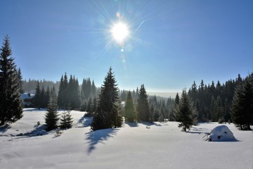 winter landscape on the mountain