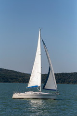 Fototapeta premium Sailboat in the Lake Balaton, Hungary on a summer day.