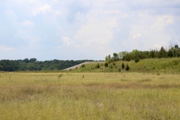 Fototapeta na wymiar The grass field prairie in the country on a sunny day.