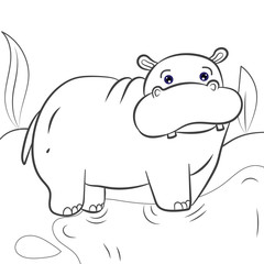 Coloring book hippopotamus african savannah animal cartoon vector illustration for children