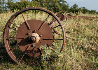 Old rusty wheels of agricultural machinery abandoned in dry grass.