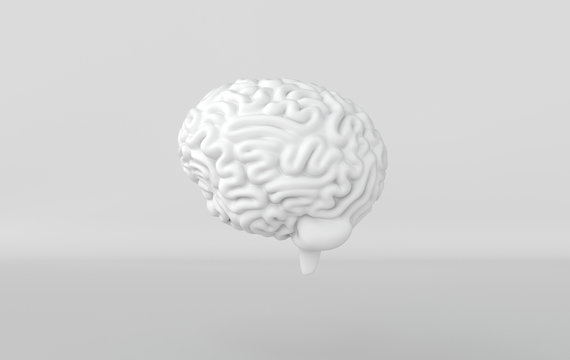 3d brain rendering illustration template background. The concept of intelligence, brainstorm, creative idea, human mind, artificial intelligence.