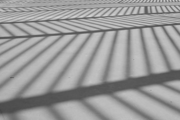 midday shadows abstract lines pattern
