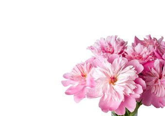 Obraz na płótnie Canvas Pink peonies bouquet and white empty space.