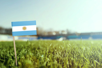 Miniature stick Argentina flag on green grass, close up sunny field. Stadium background, copy space for text.