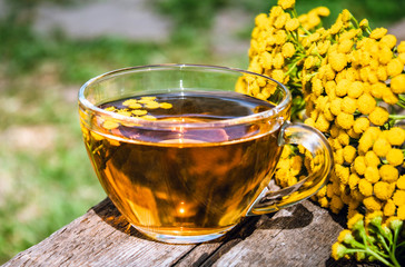 Herbal tea with tansy in a glass mug and yellow tansy flowers on the surface of a wooden table on a background of nature. Tansy Herbal tea. Healing herbs.