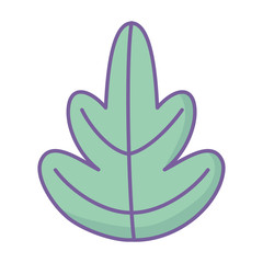 Isolated leaf vector design vector illustration