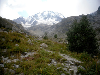 Fototapeta na wymiar Mountain landscape with grass, rocks and trees