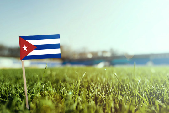 Miniature stick Cuba flag on green grass, close up sunny field. Stadium background, copy space for text. - Powered by Adobe