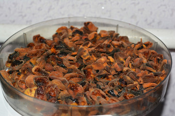 Drying fruits in dehydrator. Dehydrate apricots