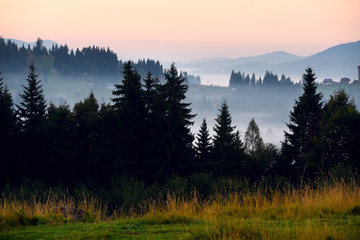 Mountains covered with huge spruce trees  and houses on the slopes at sunset.