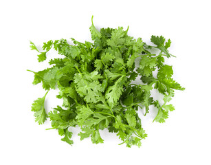 coriander leaf isolated on white background. top view