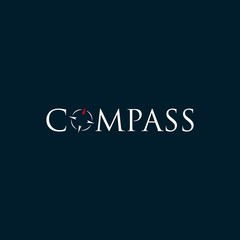 compass logo design ispiration . compass logo template