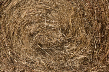 Stroh / Hintergrund